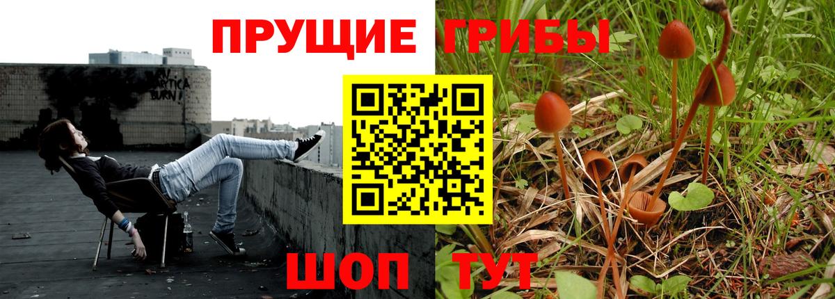 Галлюциногенные грибы прущие грибы Нальчик