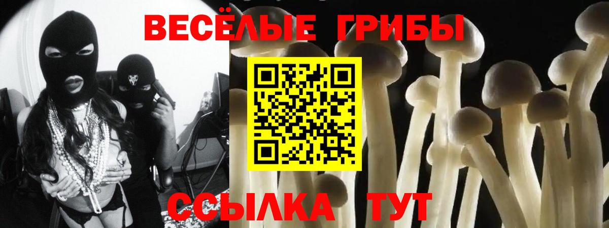 Нальчик  Псилоцибиновые грибы MAGIC MUSHROOMS  наркота  Псилоцибиновые грибы Magic Shrooms  Вход с VPN 